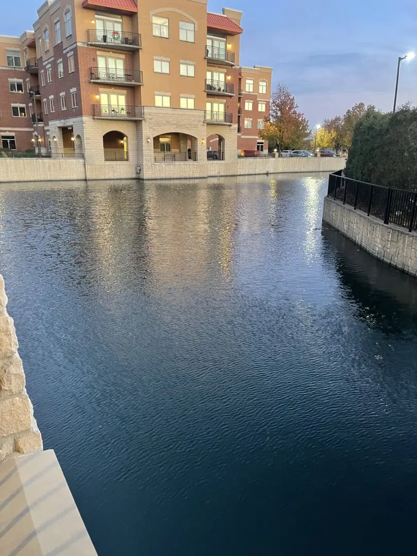 1210 N Foxdale Drive #109, Addison, IL 60101 - Image #2