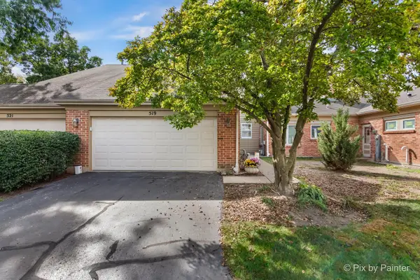 519 Shagbark Drive, Elgin, IL 60123