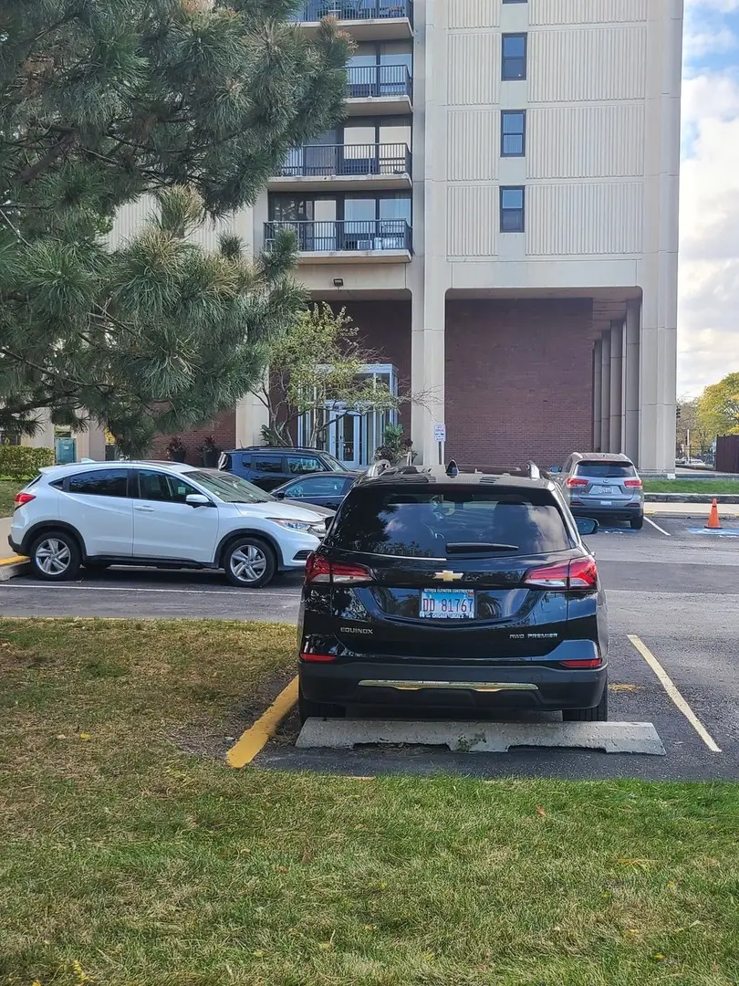 2901 S Michigan Avenue #908, Chicago, IL 60616 - Image #1