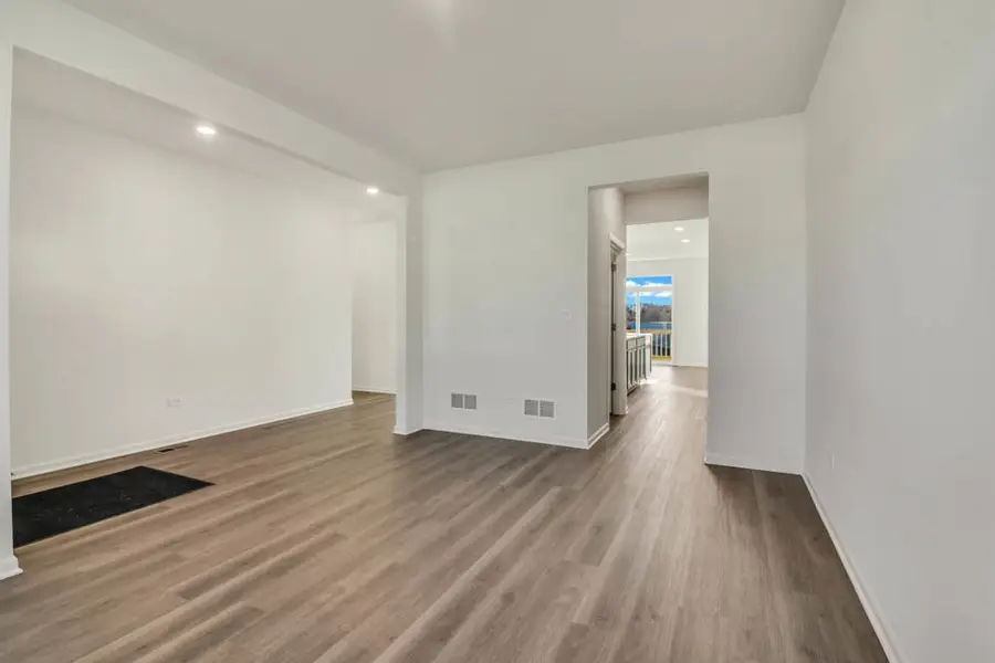 313 Snowdrop Lane, Elgin, IL 60124 - #3