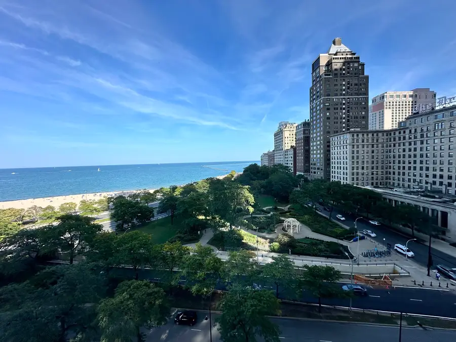 1000 N Lake Shore Drive #1008, Chicago, IL 60611 - Image #2