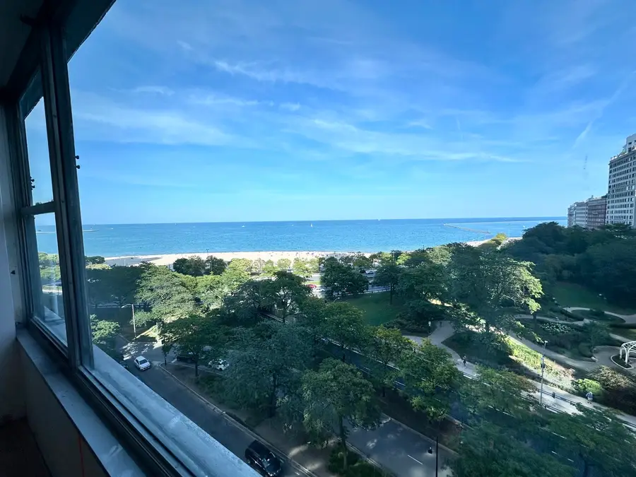 1000 N Lake Shore Drive #1008, Chicago, IL 60611 - Image #3