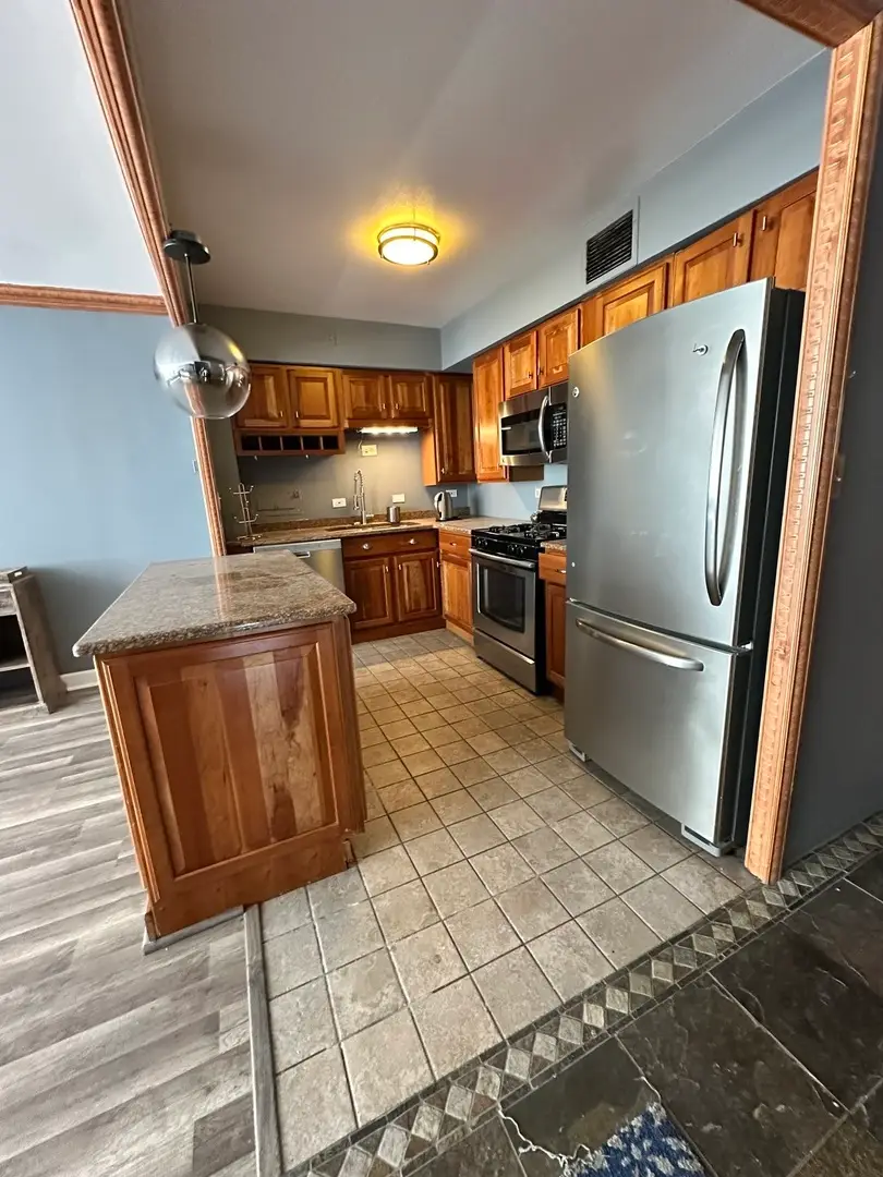 1000 N Lake Shore Drive #1007, Chicago, IL 60611 - Image #2