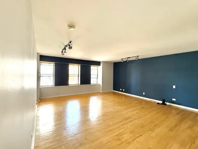 40 E 9th Street #1103, Chicago, IL 60605 - Image #3