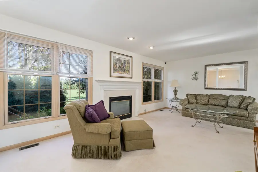 1078 Amber Drive, Lemont, IL 60439 - Image #3