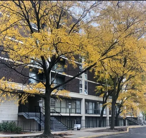 1043 S York Road #208, Bensenville, IL 60106 - Image #1