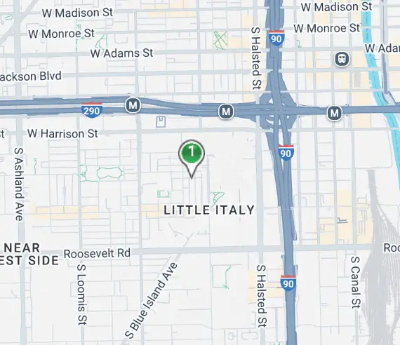 818 S Miller Street, Chicago, IL 60607 - Image #1