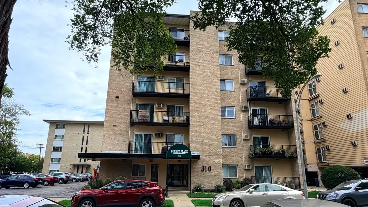 310 Lathrop Avenue #307, Forest Park, IL 60130 - Image #1