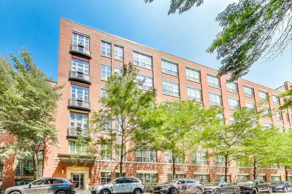 1735 N Paulina Street #419, Chicago, IL 60622