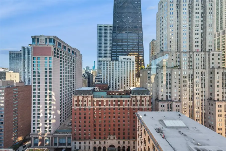 179 E Lake Shore Drive #19S, Chicago, IL 60611 - Image #3