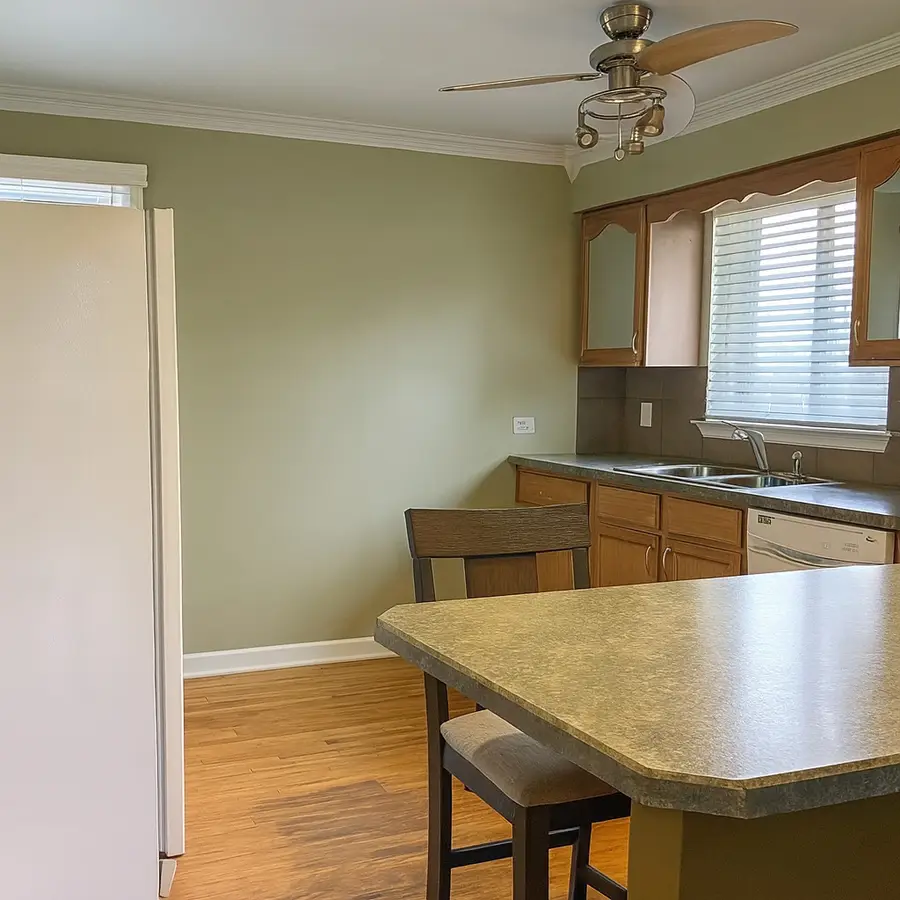 439 N Elm Street, Hillside, IL 60162 - Image #2