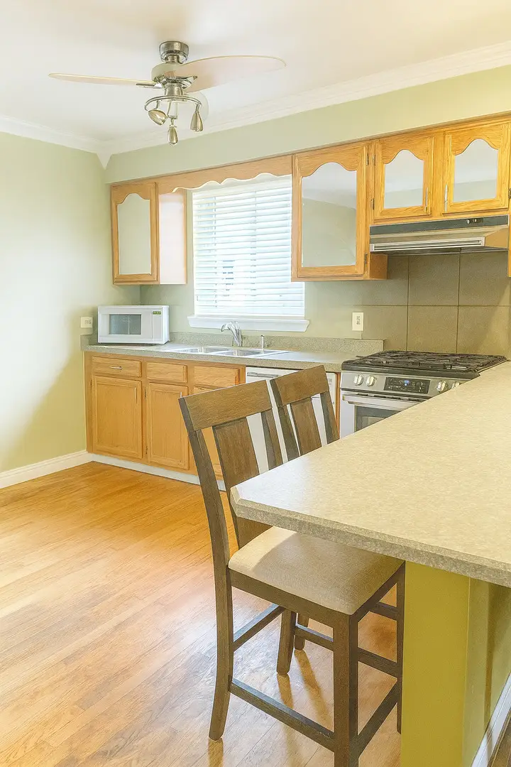 439 N Elm Street, Hillside, IL 60162 - Image #3