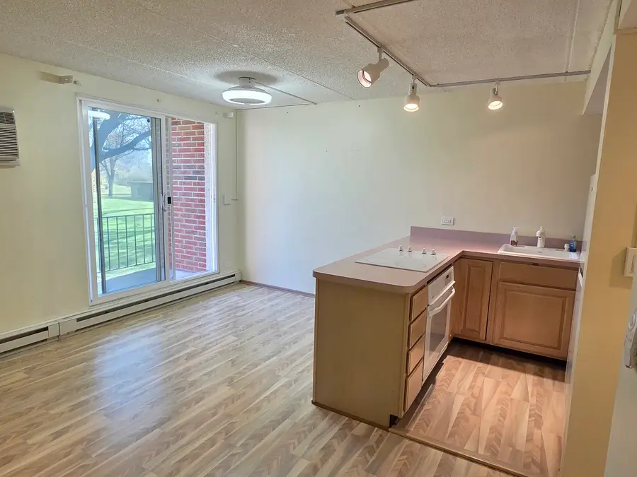 255 S West Avenue S #214, Elmhurst, IL 60126 - Image #3