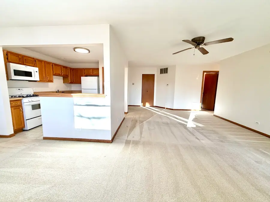 120 Stirling Lane #Z1, Schaumburg, IL 60194 - Image #3