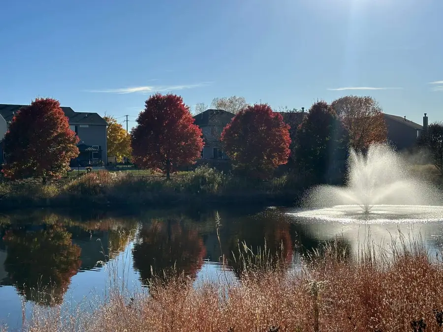 1103 Bayside Lane, Shorewood, IL 60404 - Image #3