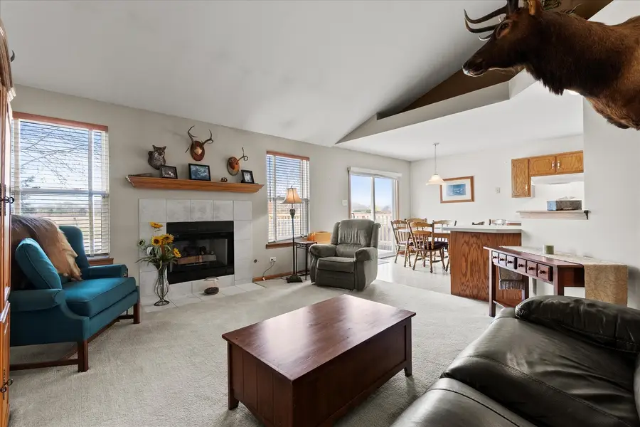 4513 Skylark Lane, Plainfield, IL 60586 - Image #2