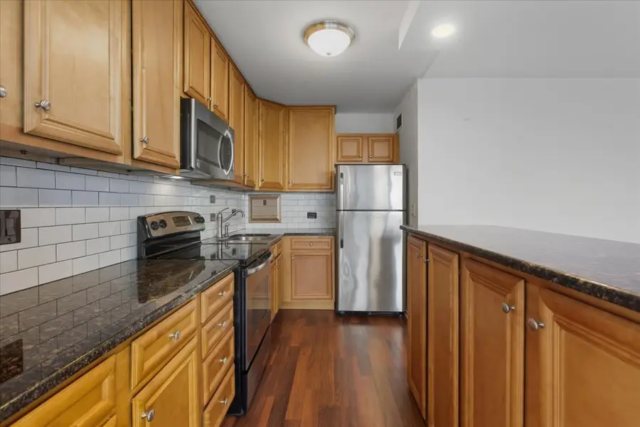 3900 N Lake Shore Drive #17G, Chicago, IL 60613 - Image #2