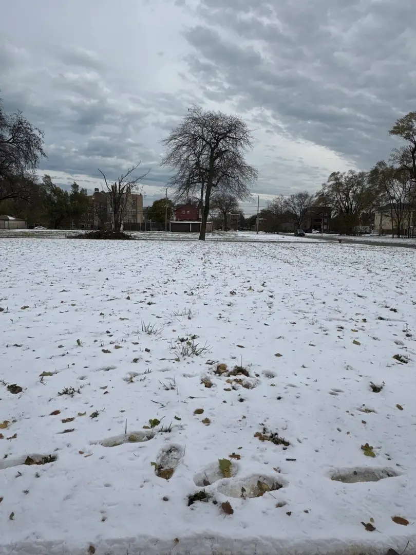 Address Withheld By Seller, Chicago, IL 60621 - Image #1