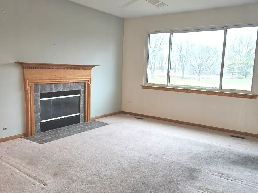 21320 W Douglas Lane, Plainfield, IL 60544 - Image #2