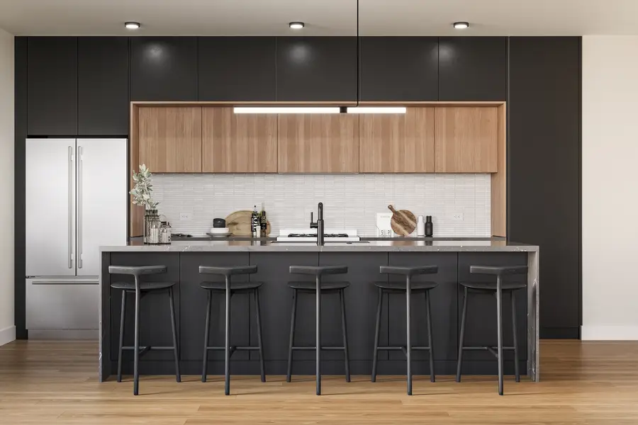 2234 W Grand Avenue #203, Chicago, IL 60612 - Image #2