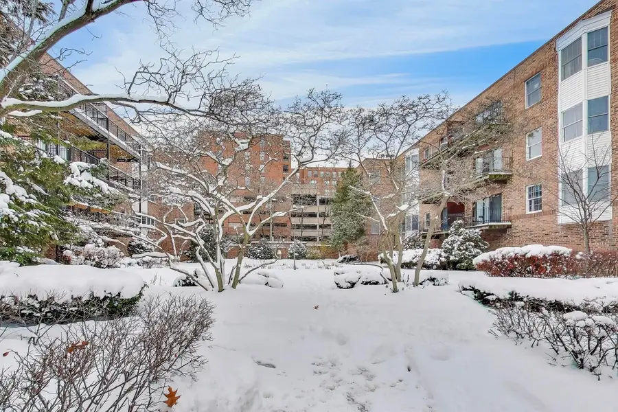 1730 Hinman Avenue #3A, Evanston, IL 60201 - Image #3