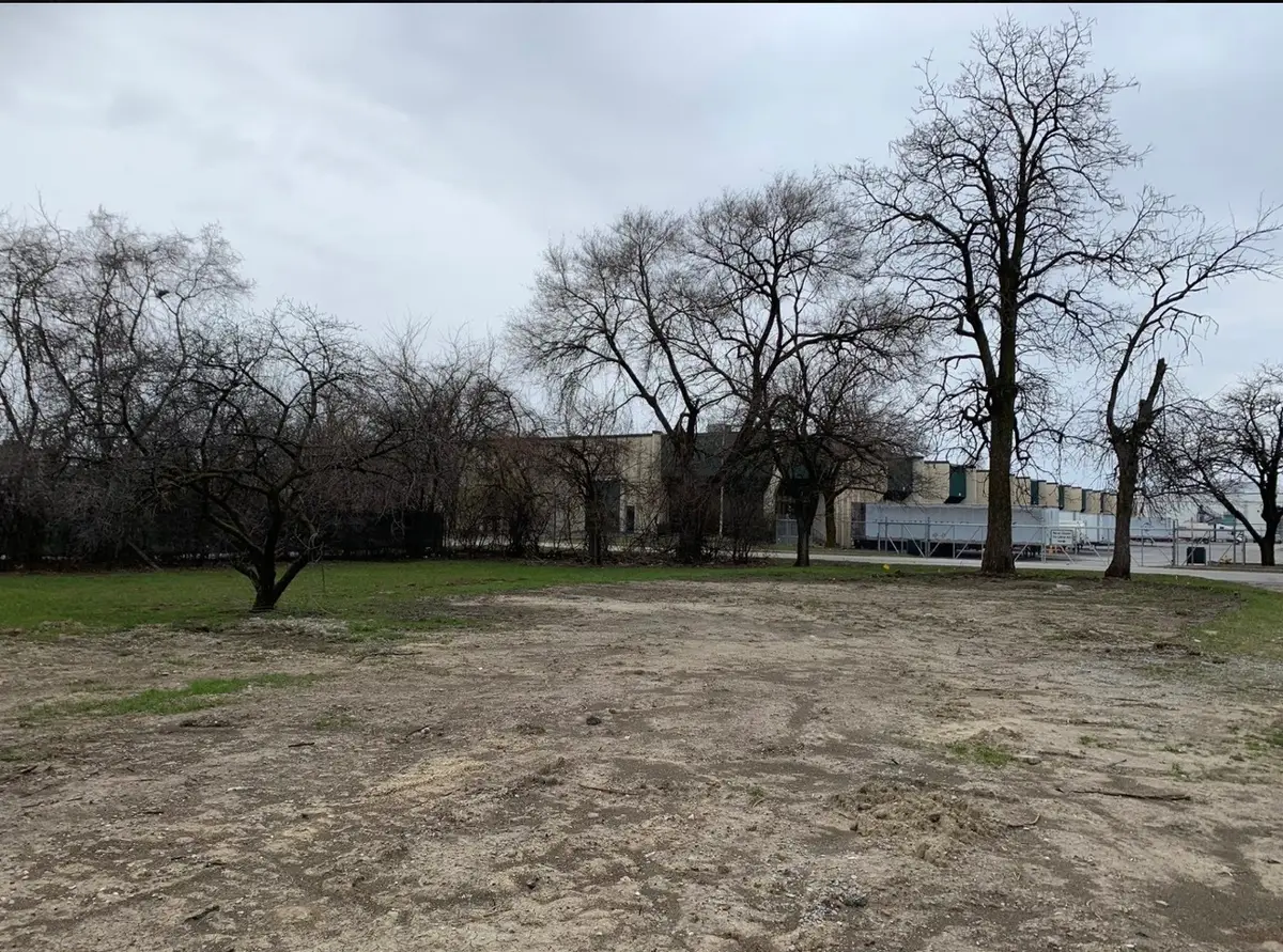 1113 171st Street, East Hazel Crest, IL 60429 - Image #1