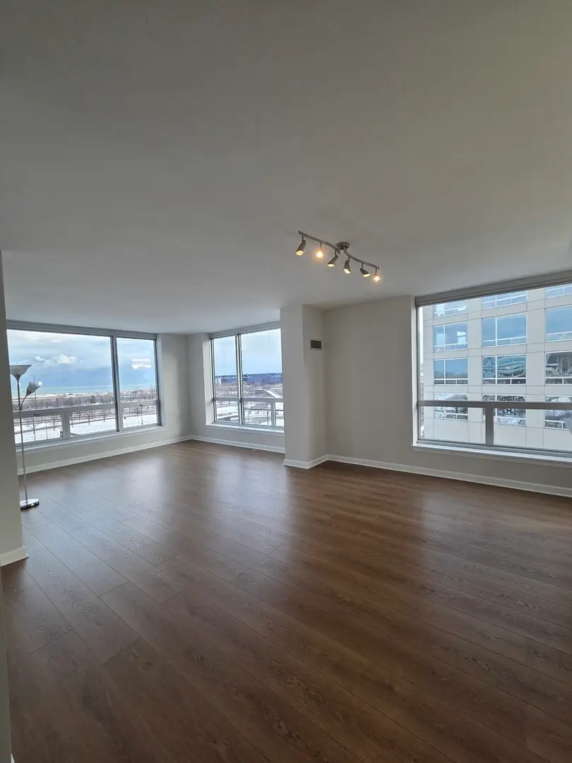 1841 S Calumet Avenue #707, Chicago, IL 60616 - Image #2