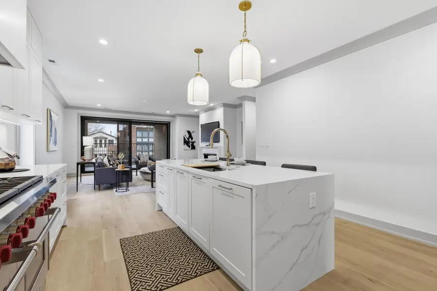 1646 N Orchard Street #2, Chicago, IL 60614 - Image #3