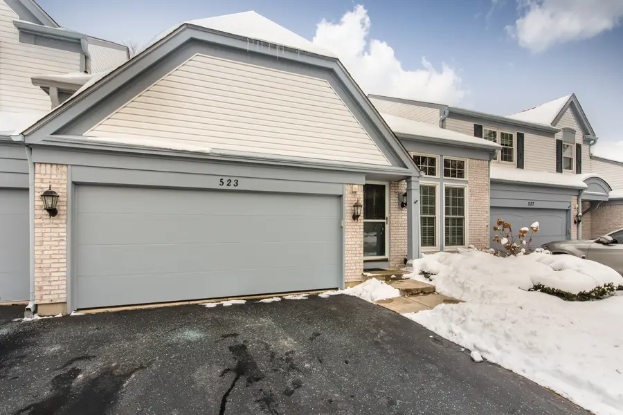 523 Orleans Avenue, Naperville, IL 60565 - Image #3