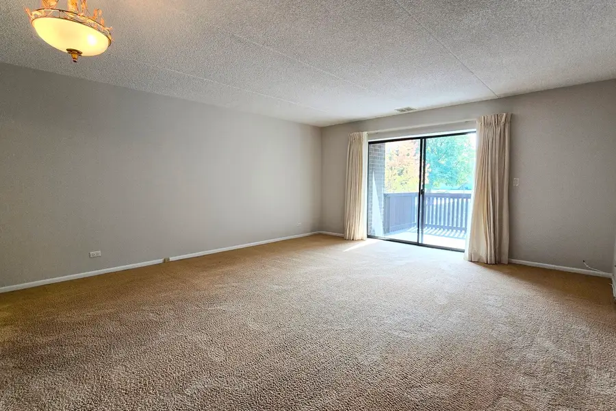 690 Chandler Road #207, Gurnee, IL 60031 - Image #2