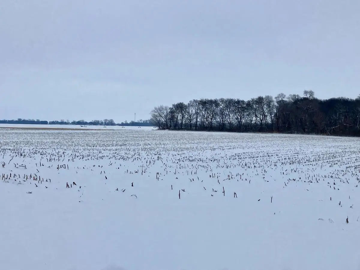 0 E 2nd Street, Tampico, IL 61283 - Image #1