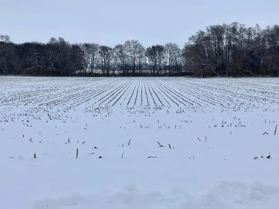 0 E 2nd Street, Tampico, IL 61283 - Image #2