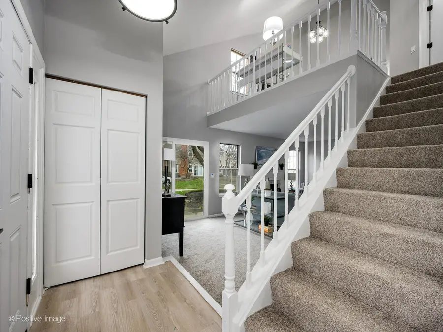 216 Still Water Court, Palatine, IL 60067 - Image #3