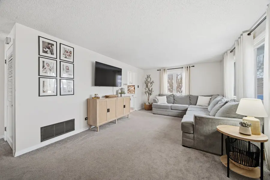 10333 S Millard Avenue, Chicago, IL 60655 - Image #3