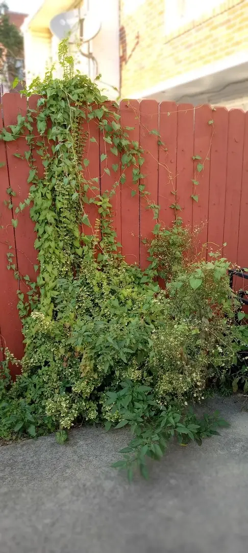 Address Withheld By Seller, Chicago, IL 60615 - Image #2