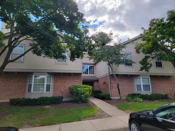 123 Willow Brook Court #3, Schaumburg, IL 60195