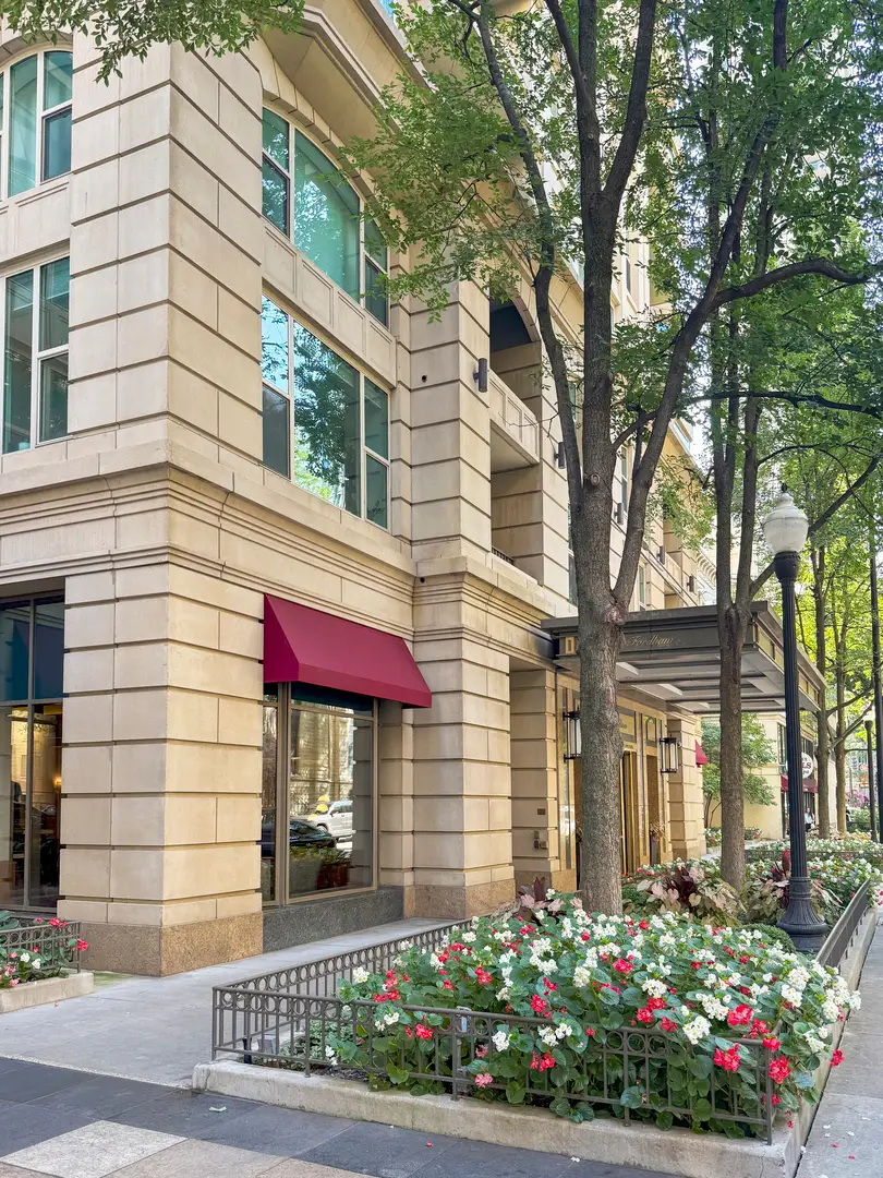 25 E Superior Street #902, Chicago, IL 60611 - Image #2