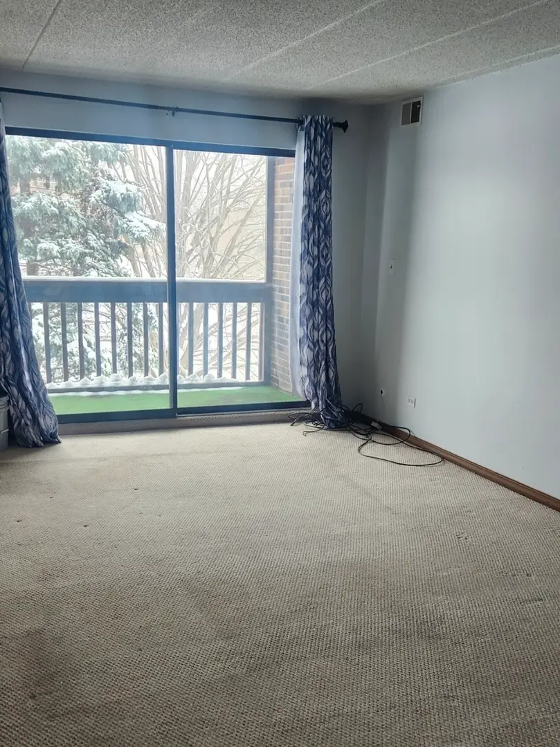 10355 Menard Avenue #210, Oak Lawn, IL 60453 - Image #2