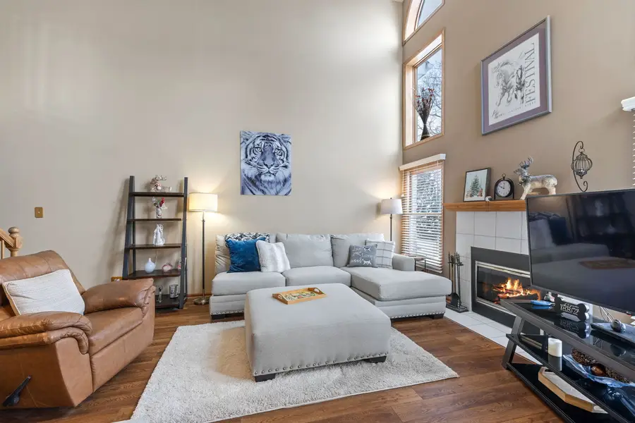 9919 Constitution Drive, Orland Park, IL 60462 - Image #3