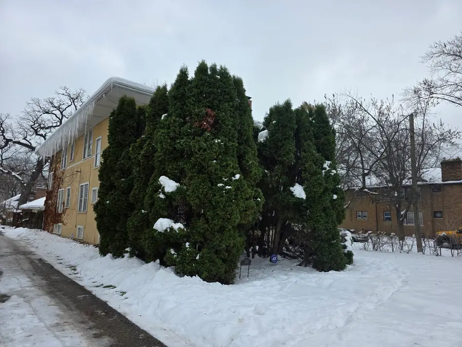 1525 North Avenue, Waukegan, IL 60085 - Image #3