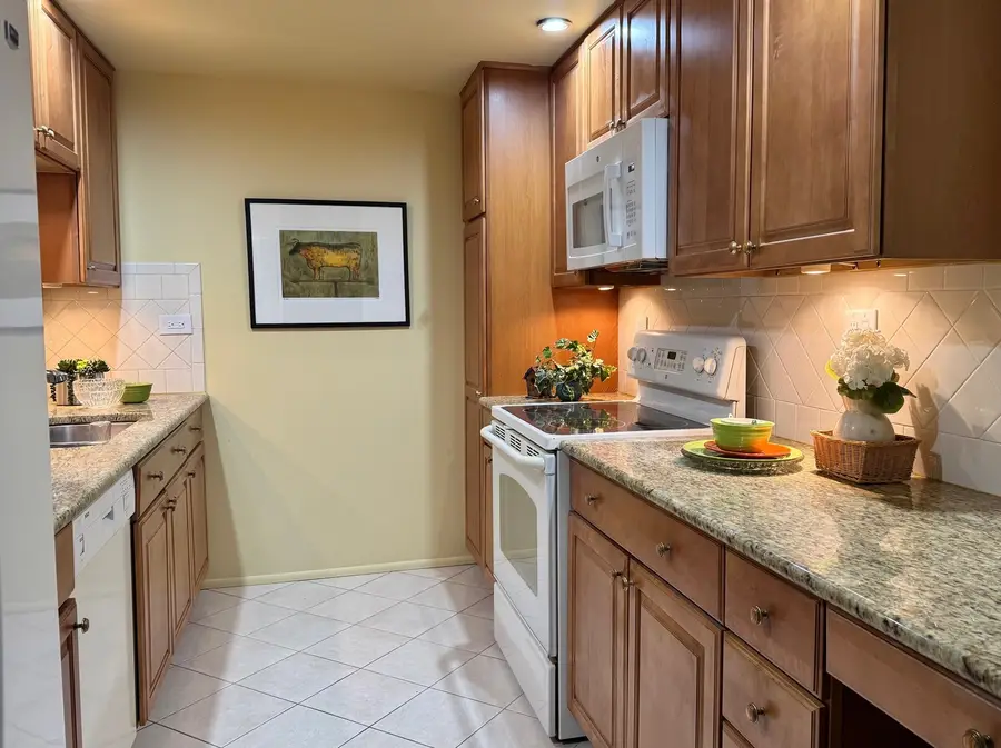 825 Pearson Street #3D, Des Plaines, IL 60016 - Image #3