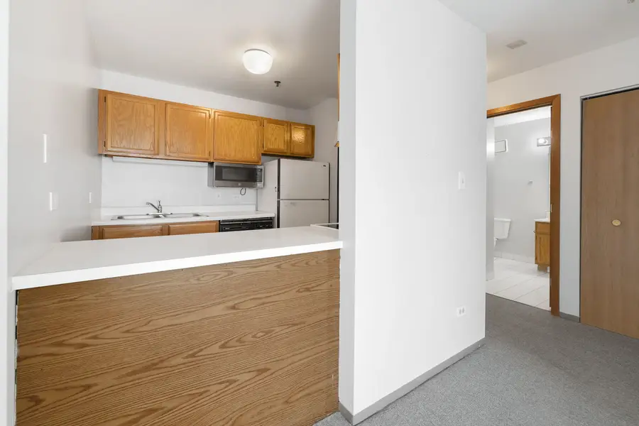 3255 Kirchoff Road #306, Rolling Meadows, IL 60008 - Image #3