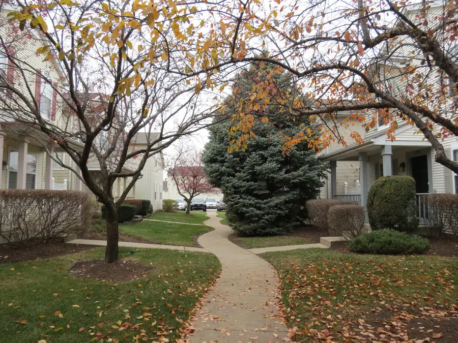 191 Mountain Laurel Court, Romeoville, IL 60446 - Image #2