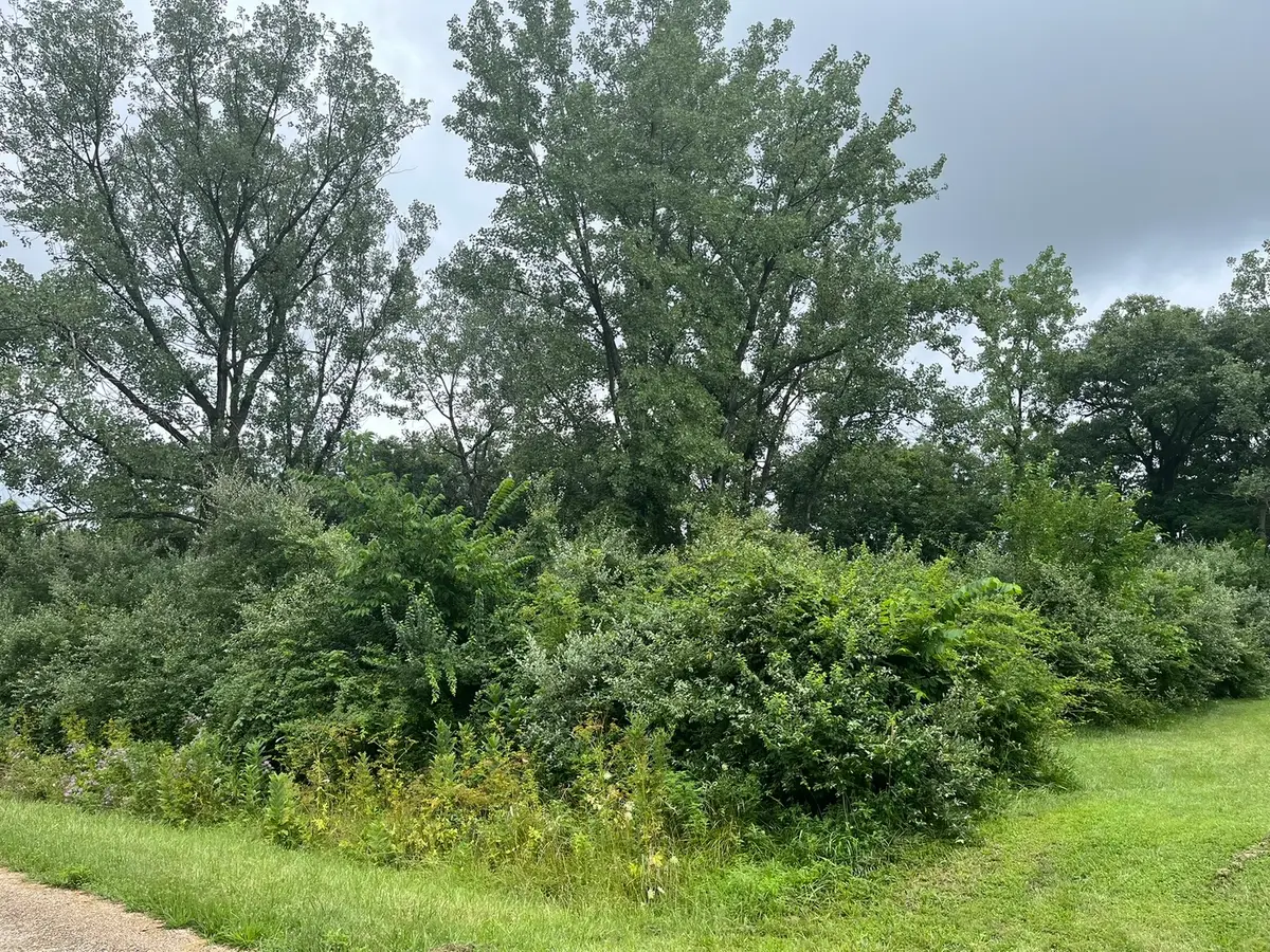 6 Walnut Drive, Putnam, IL 61560 - Image #1