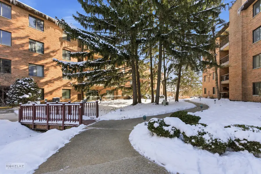 7502 Farmingdale Drive #206, Darien, IL 60561 - Image #2