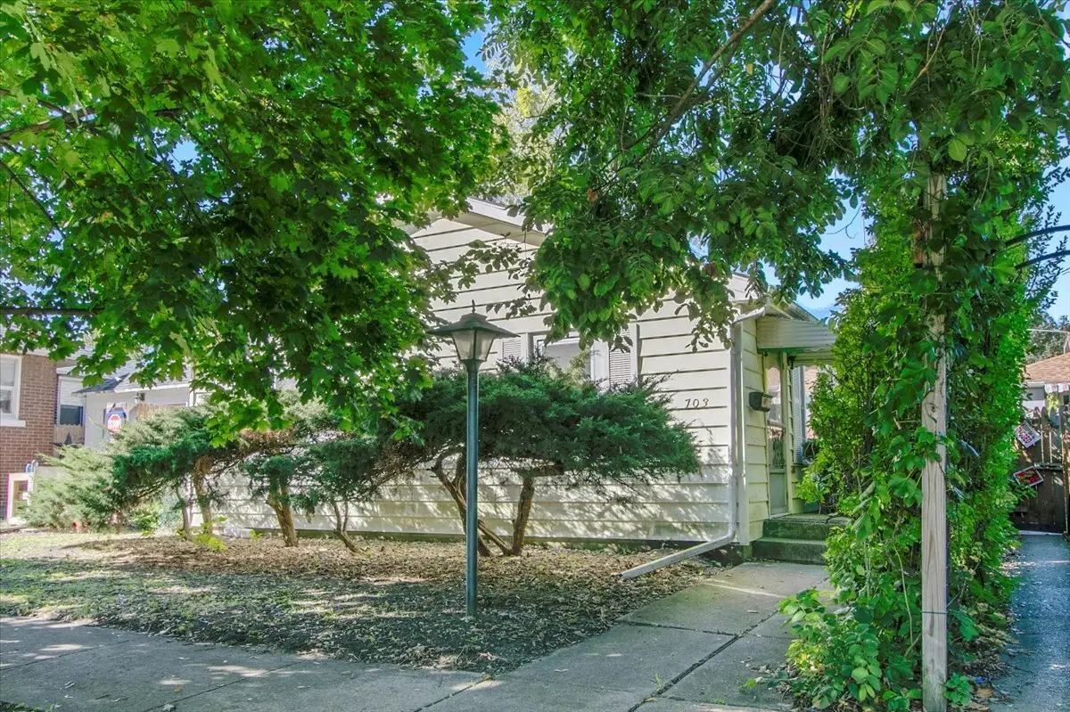 703 Oakland Avenue, Joliet, IL 60435 - Image #1