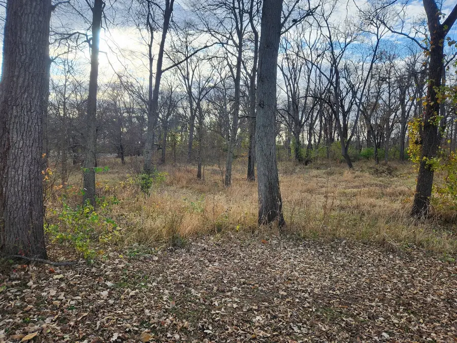 302 S Walnut Street, Colfax, IL 61728 - Image #3