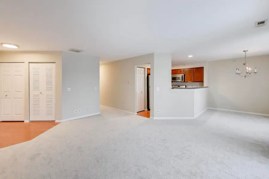 249 W Lynn Drive #6, Palatine, IL 60067 - Image #3