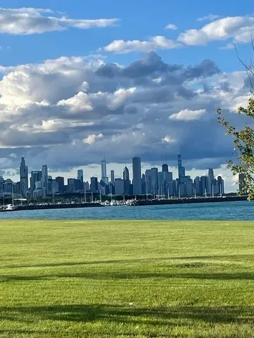 4055 S Ellis Avenue, Chicago, IL 60653 - Image #3