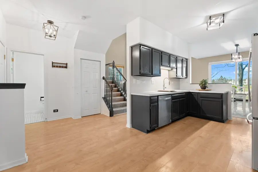 206 Sierra Pass Drive #3, Schaumburg, IL 60194 - Image #2